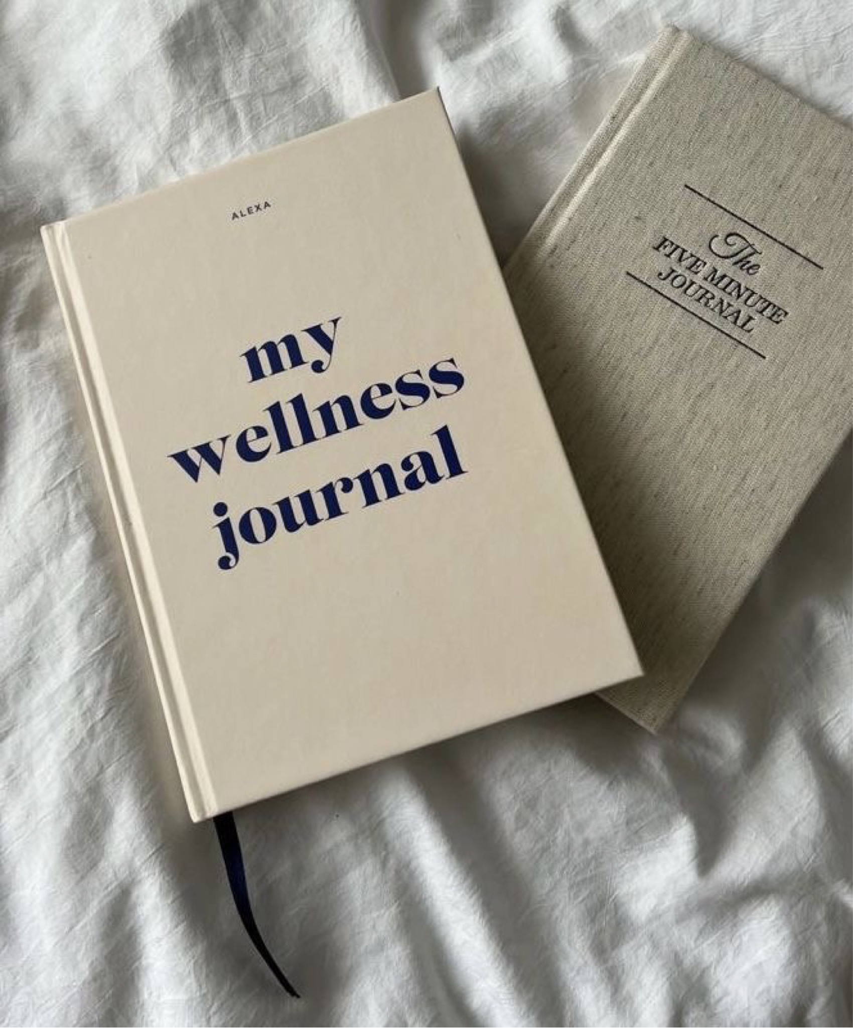 The wellness journal ideas 

#LTKhome #LTKFind #LTKbeauty