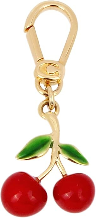 COACH Women's Collectible Signature Jewelry Charm | Amazon (US)