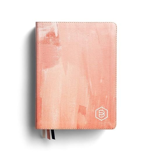 One Step Closer Bible NLT - Pink Watercolor Cloth     Leather Bound – March 14, 2022 | Amazon (US)