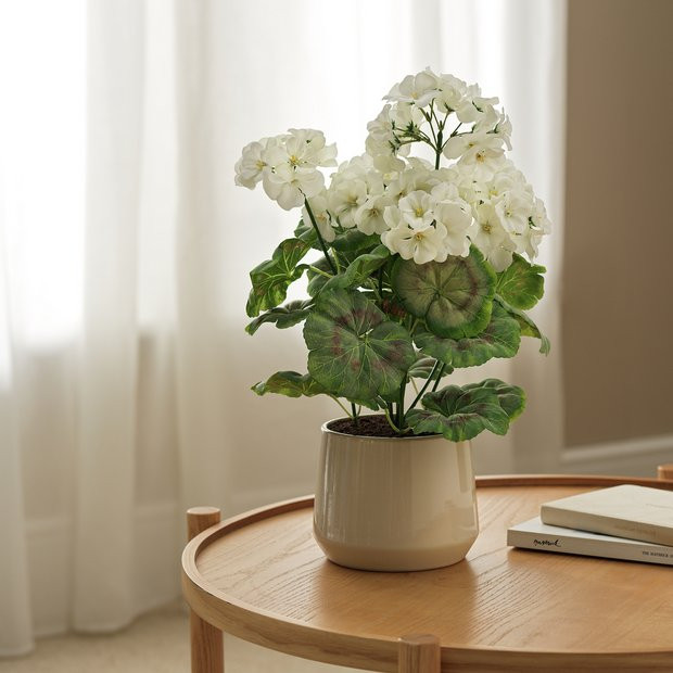 Buy Argos Home Artificial Geranium in Ceramic Pot - Cream | Indoor pots and planters | Argos | argos.co.uk