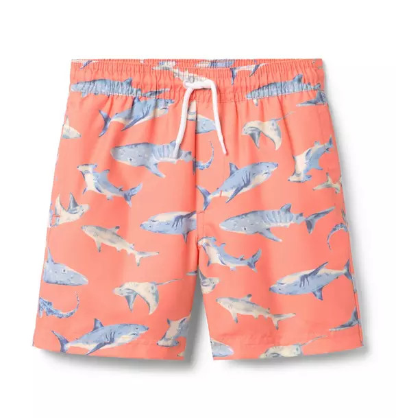 Recycled Shark Swim Trunk | Janie and Jack