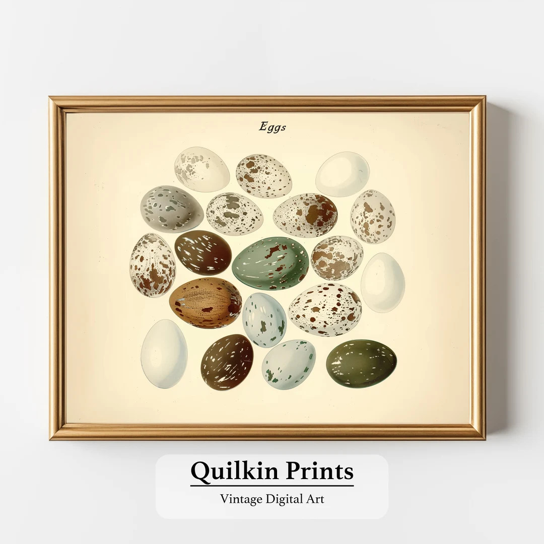 Vintage Bird Eggs Colourful Drawing Illustration PRINTABLE Digital Download | Bird Eggs - Etsy | Etsy (US)