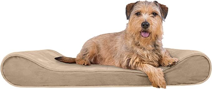 Furhaven Microvelvet Luxe Lounger Supportive Orthopedic Foam Dog Bed - Clay, Large | Amazon (US)