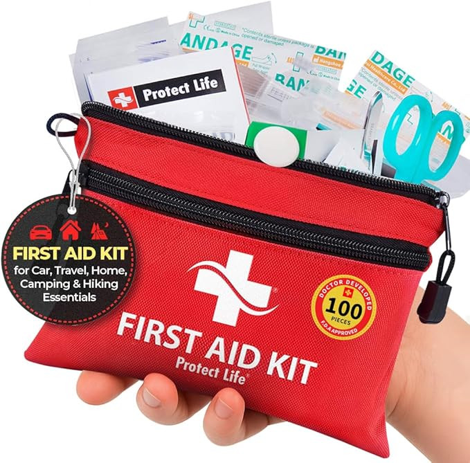 Protect Life Survival First Aid Kit for Home/Business, Camping Survival Kits | Mini Travel First ... | Amazon (US)