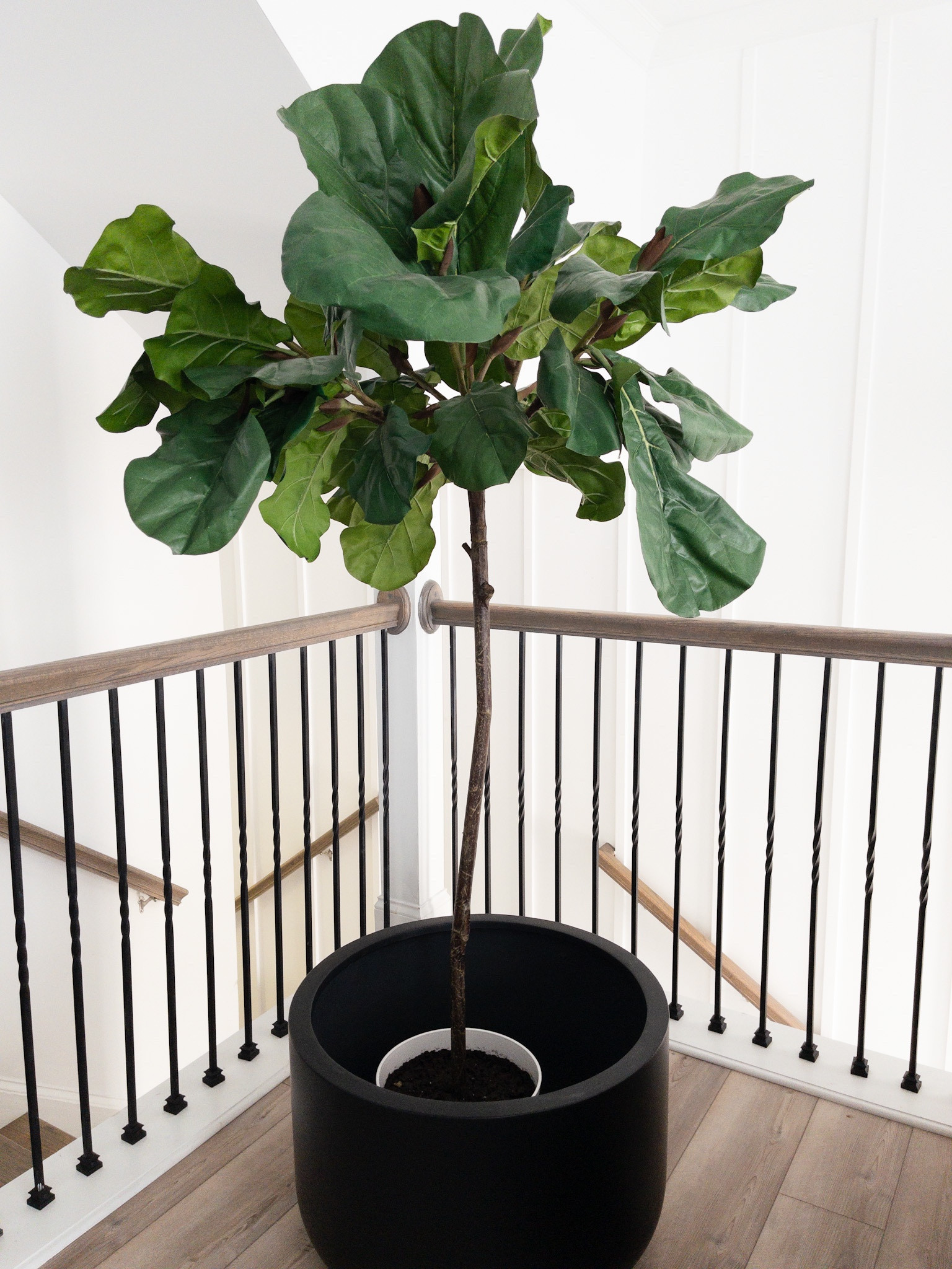 Radius Ficonstone. Indoor/Outdoor. Planters. Faux tree. Westelm. Living room decor.

#LTKhome #LTKsalealert #LTKfamily