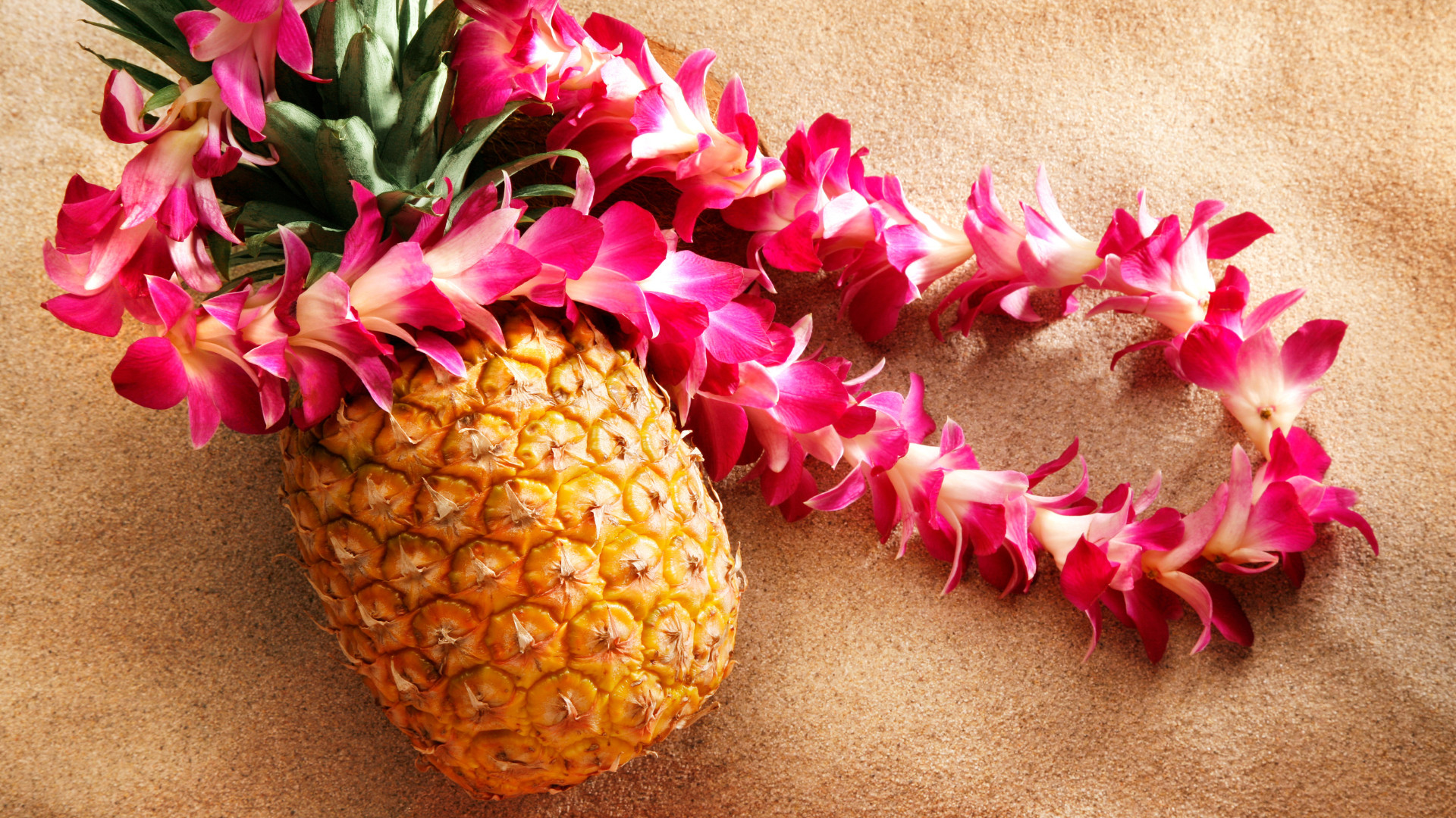 A luau party is more than just a tropical menu—it’s about the atmosphere, the outfits, the music, and the experience. Whether you’re planning a backyard bash or decorating for a school event, the goal is to make guests feel like they’ve stepped onto an island - Check out my essentials here! 

 