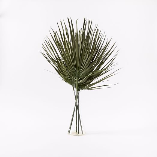 Dried Green Palm Leaf Stem Bunch | West Elm (US)