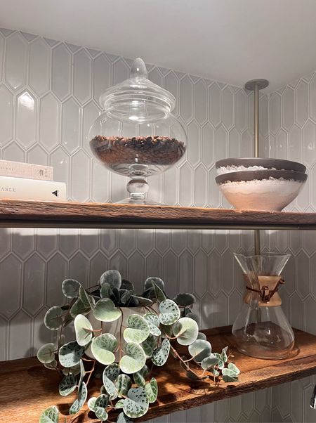 This cutie trailing plant is such a deal! So much more affordable than the Pottery Barn one!

#LTKhome #LTKfindsunder50