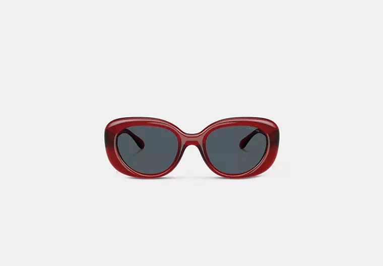 C Hardware Round Sunglasses | Coach (US)