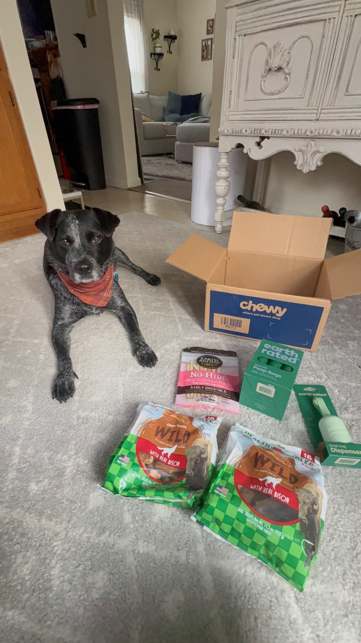 Chewy haul!

#LTKActive #LTKFindsUnder50 #LTKSaleAlert