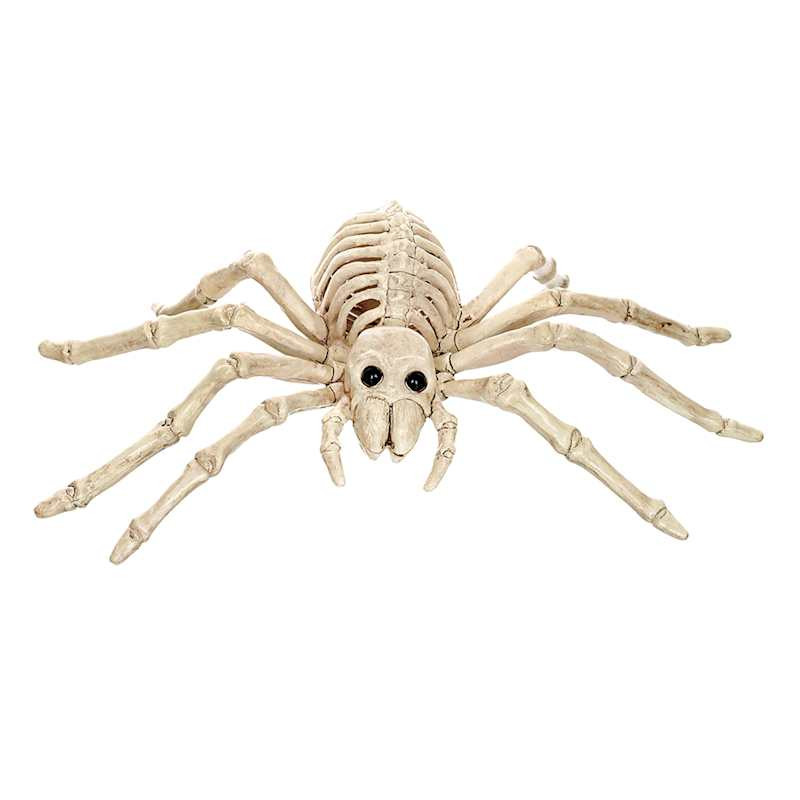 Halloween Spider Skeleton, 9" | At Home