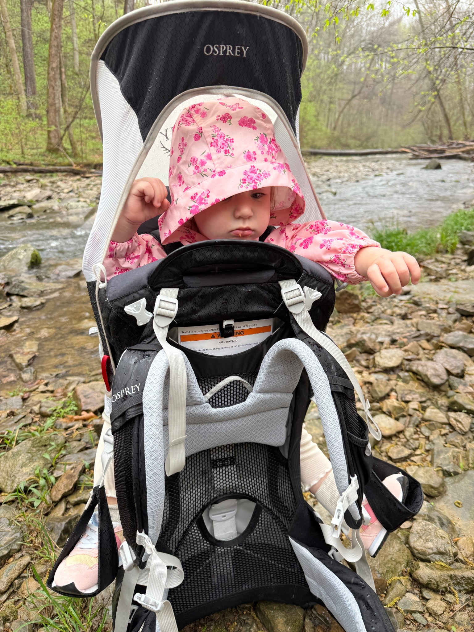 the best backpack for hiking! Eloise is  so happy when she’s in this! 

#LTKActive #LTKmomlife #LTKTravel
