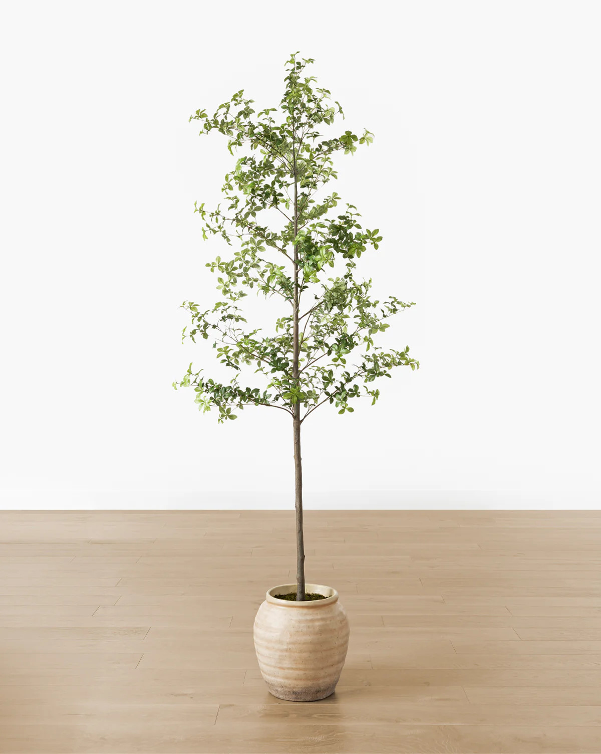 Faux Japanese Quince Tree | McGee & Co. (US)