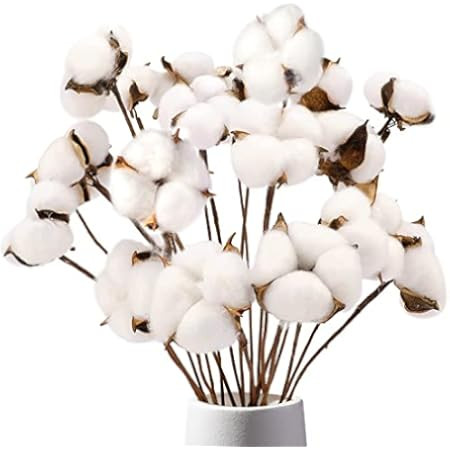 Foraineam 40 Pack 23 Inches Natural White Cotton Stems Dried Flower Farmhouse Artificial Flower Fill | Amazon (US)