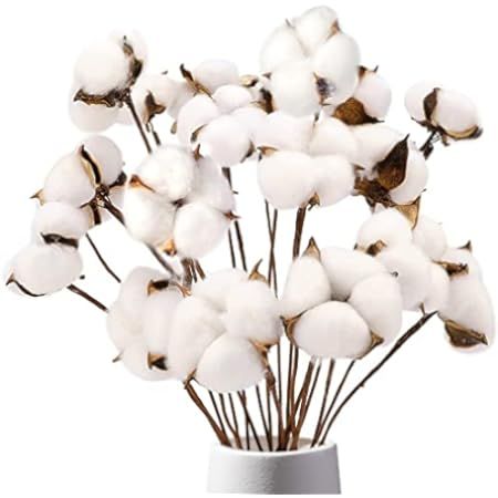 Foraineam 40 Pack 23 Inches Natural White Cotton Stems Dried Flower Farmhouse Artificial Flower Fill | Amazon (US)