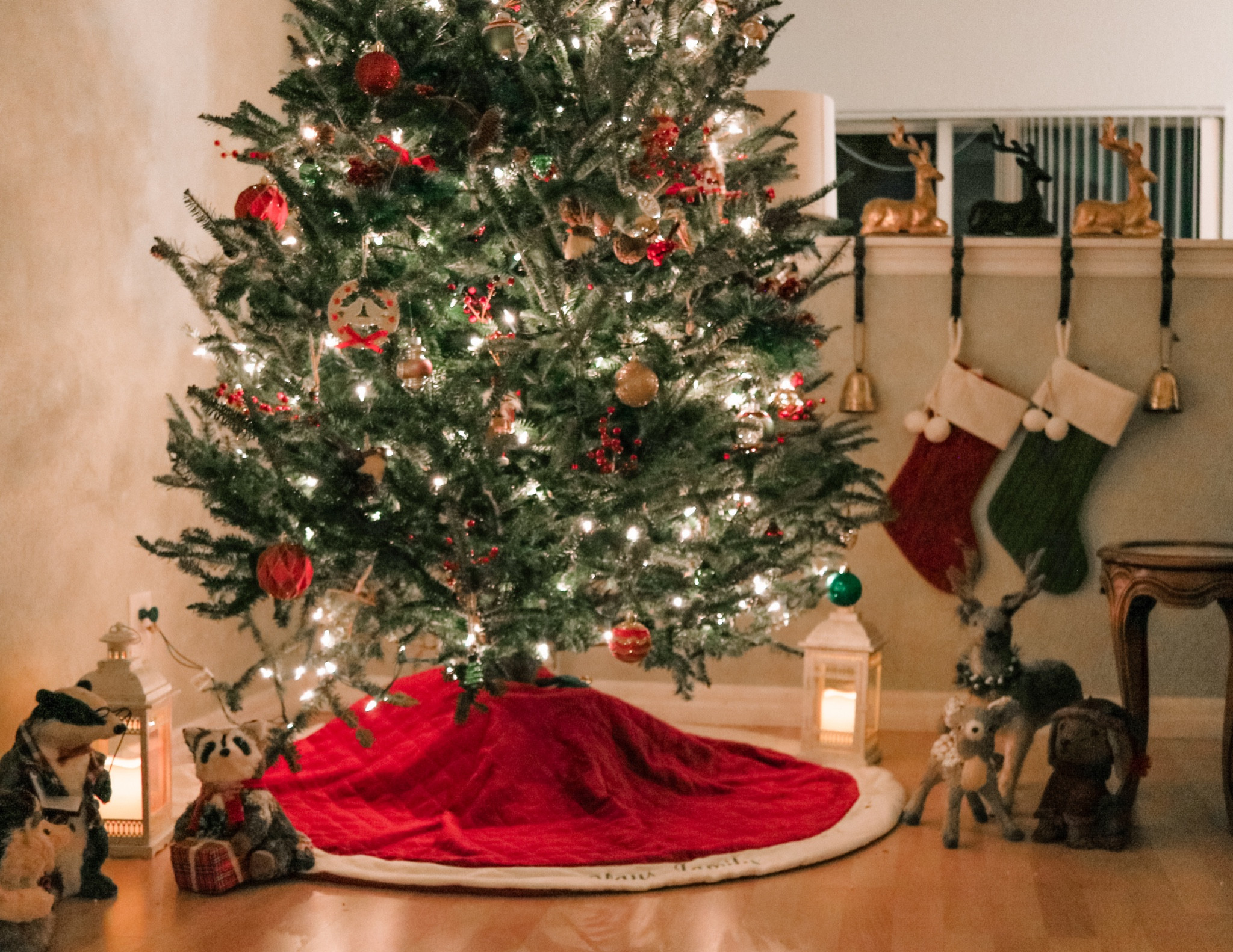 When my husband and I first got married, we purchased a Pottery Barn Classic Velvet personalized tree skirt. It was a bit of an investment for us, but we wanted a Christmas decoration item that would be a family tradition every year. This picture was from our first Christmas as a married couple  

#LTKHoliday #LTKSeasonal #LTKhome
