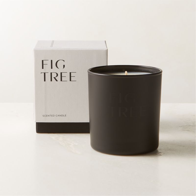 Stockhome Fig Leaf Scented Candle 8oz + Reviews | CB2 | CB2
