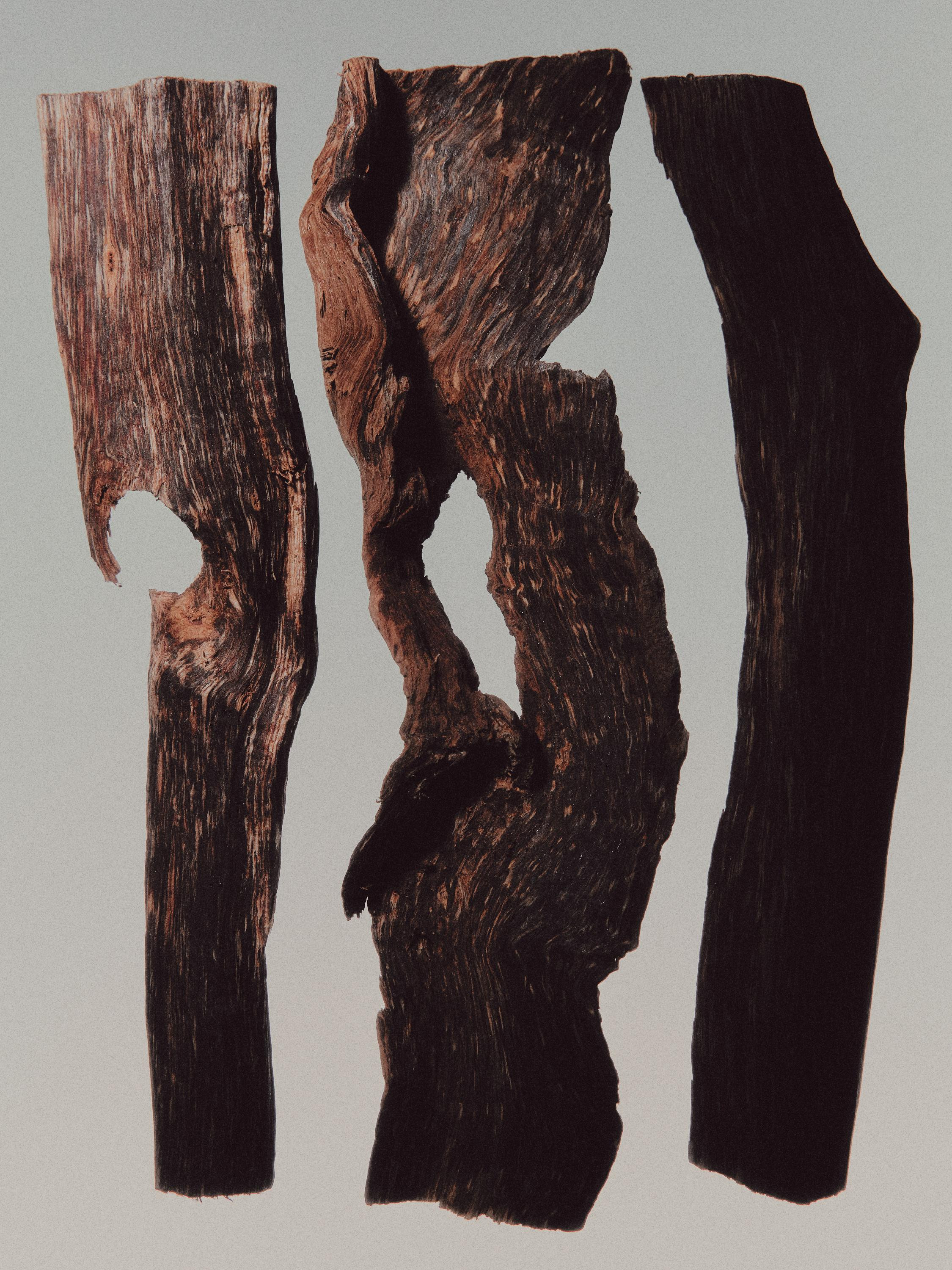 (100 ml) Leather statement eau de parfum | Massimo Dutti UK