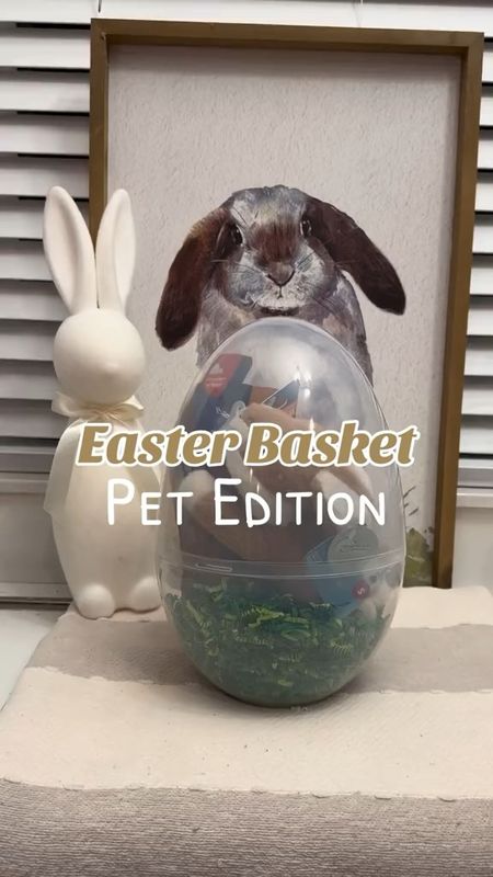 Easter Basket for your puppies and dog lovers 

#LTKSeasonal #LTKkids #LTKfamily