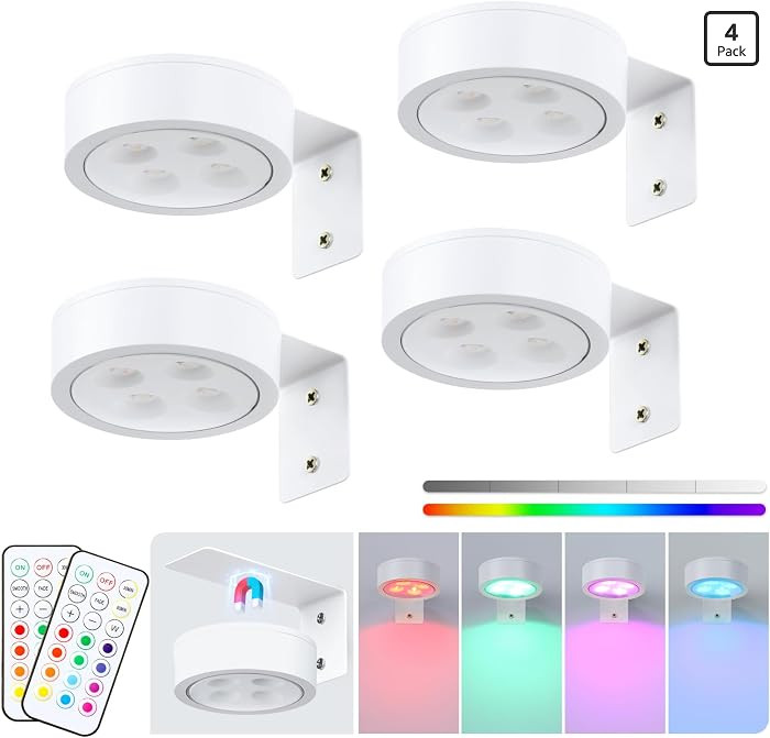 4-Pack Picture Light Battery Operated with Remote,13 Color Dimmable and Timer Painting Light, Art... | Amazon (US)