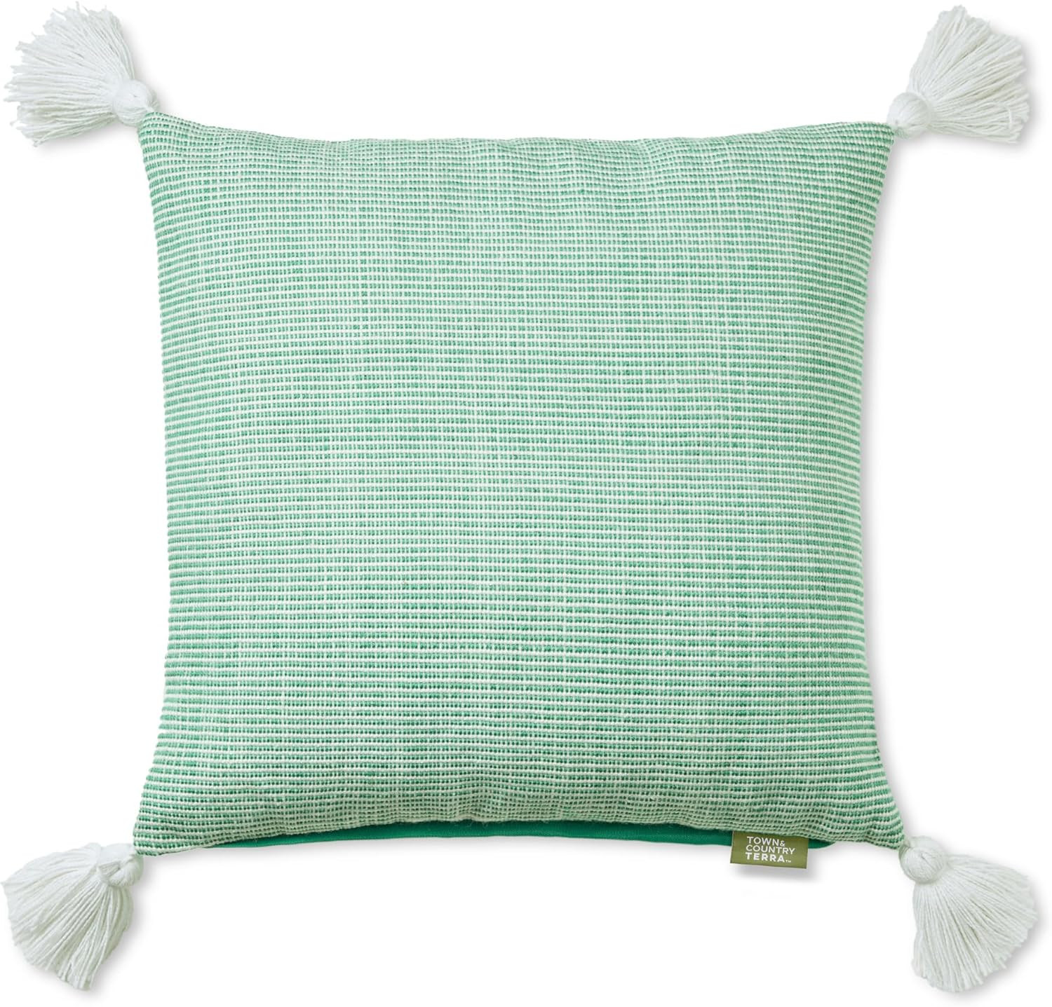 TOWN & COUNTRY TERRA Alara Indoor/Outdoor Decorative Pillow, 20"x20", Green/Ivory | Amazon (US)
