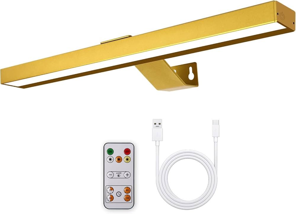 Wireless Picture Light Battery Operated, 16in Rechargeable Picture Light with Remote Control, 3 L... | Amazon (US)