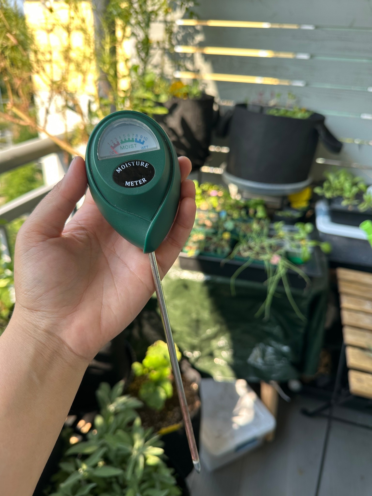 I use this moisture meter to water my garden & indoor plants! It lets me know what’s dry, moist etc. used it for 5+ years & it’s never let me down 