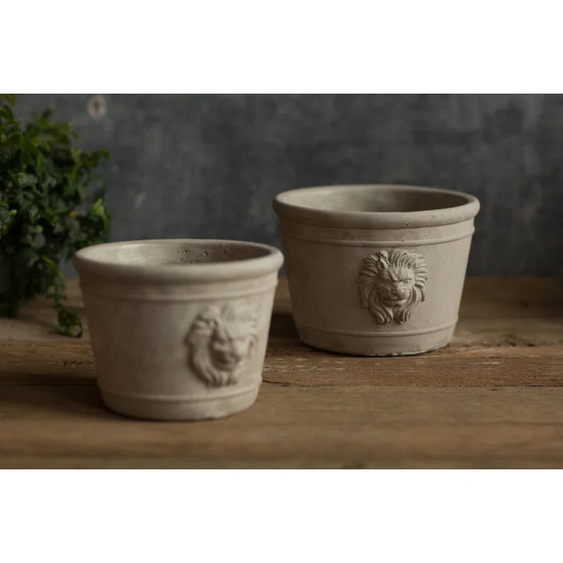 Lynda Pot Planter | Wayfair North America