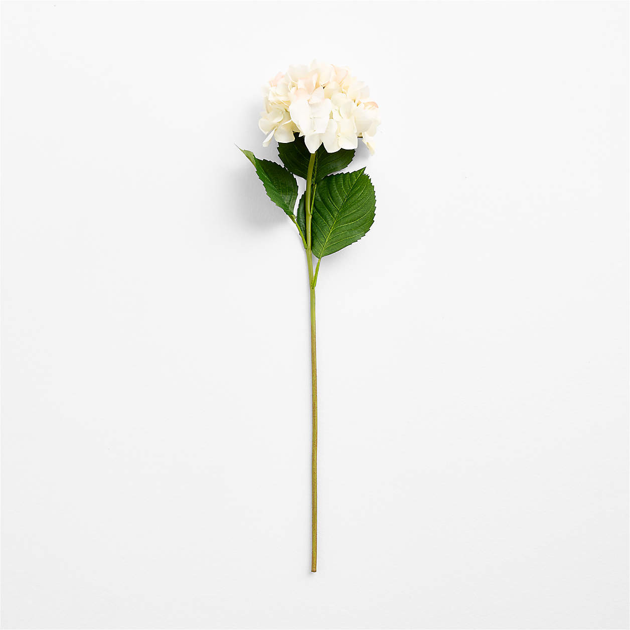 Faux Antiqued White Hydrangea Stem 30" | Crate & Barrel | Crate & Barrel