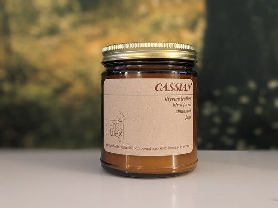 Cassian 8oz Bookish Candle - Acowar Candle | Book Lover Gift | Birch Forest Cinnamon Leather | Ja... | Etsy (US)