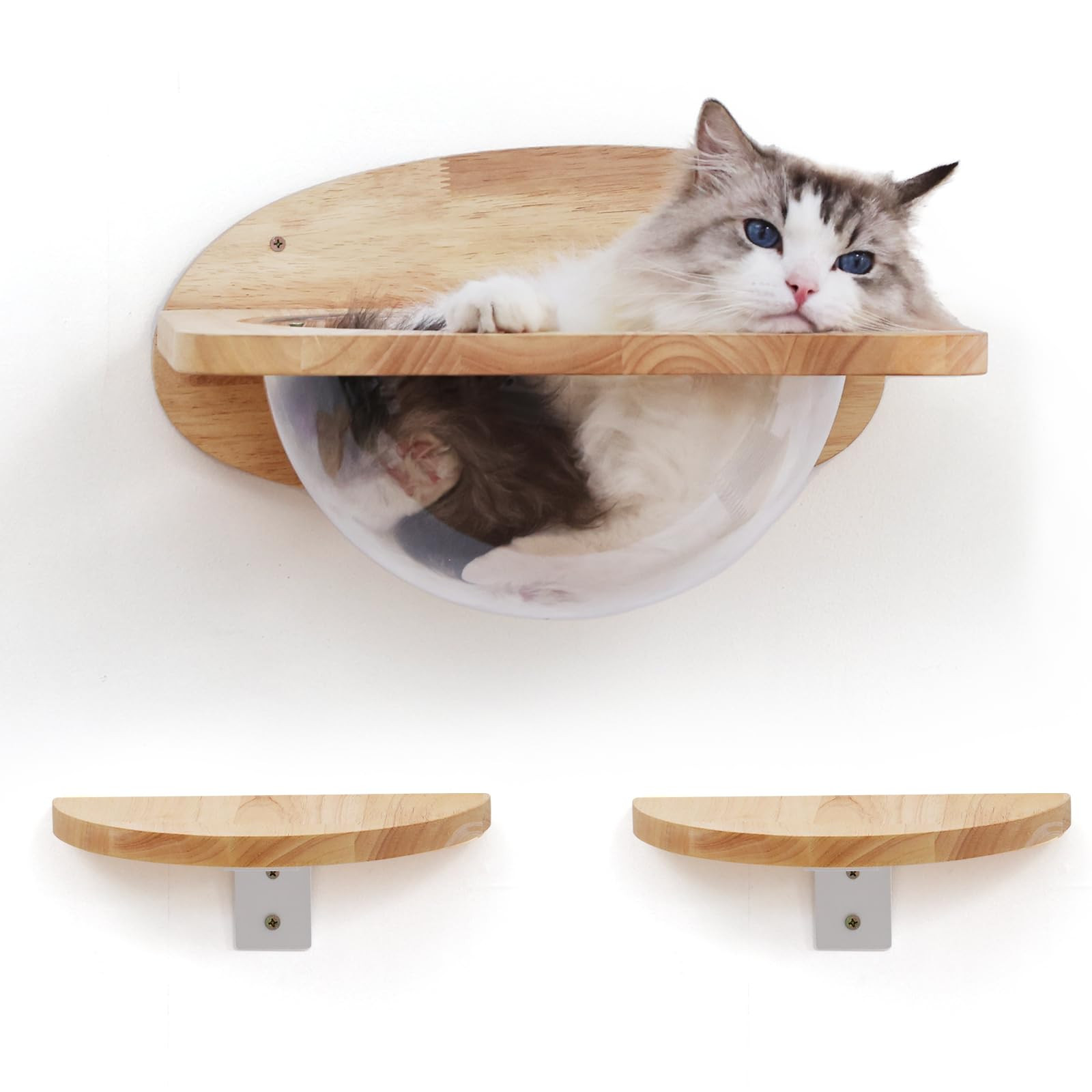 FUKUMARU Cat Wall Furniture Set, Transparent Capsule Kitten Walls Shelves with 2 PCS Pedals - Pre... | Amazon (US)