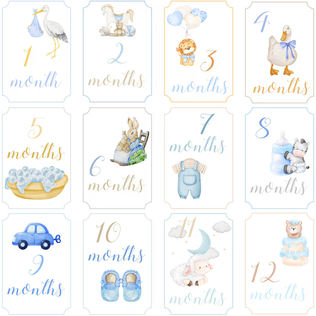 Baby Boy Watercolor Monthly Milestone Cards Twelve Month Milestone Cards Baby Monthly Milestone C... | Etsy (US)