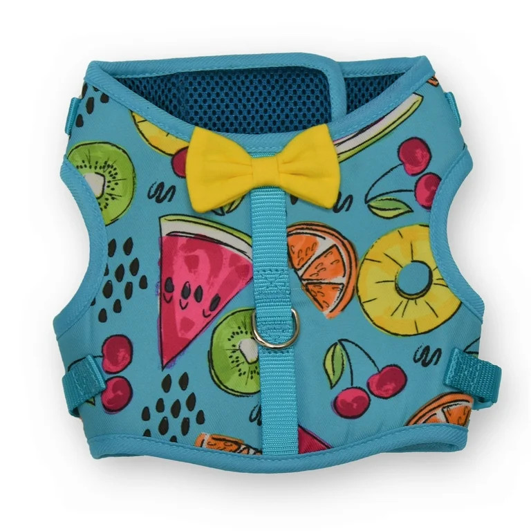 Vibrant Life Polyester Fruit Walking Dog Harness, Blue, S (15" to 20" Chest Size) | Walmart (US)