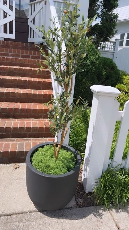‼️must follow me to see link if requested ⚠️ 

Not only do these viral planters and faux trees and moss look just like the ones from • Pottery Barn and William Sonoma • they are extremely affordable and excellent quality!
Comment “planter link”, and I will send this combo directly to your mailbox!
Pottery Barn // planters // faux // home decor // easy home // looks like // home style // look for less 
#ratranbox #dealoftheweek #homestyle #looksforless

#LTKHome #LTKVideo #LTKFindsUnder100
