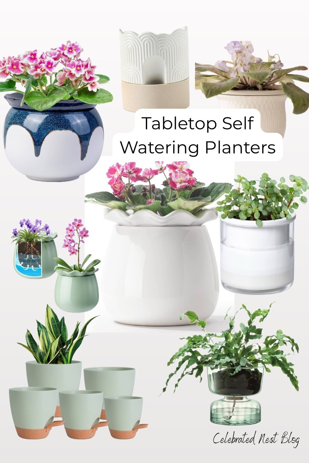 Self-watering tabletop planters with modern minimalist design. Smart hydration system keeps plants healthy with minimal maintenance. Perfect for herbs, succulents, and small houseplants. Sleek contemporary style complements any home decor. Ideal for busy lifestyles, offices, kitchens, or windowsills. No-fuss gardening solution with automatic watering reservoir. #selfwatering #indoorplants 

#LTKHome #LTKStyleTip #LTKFindsUnder50