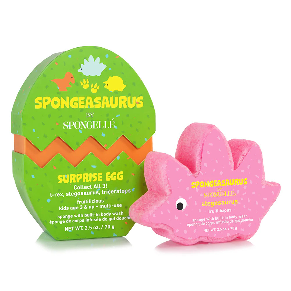 Stegosaurus Dinosaur Buffer | Spongelle
