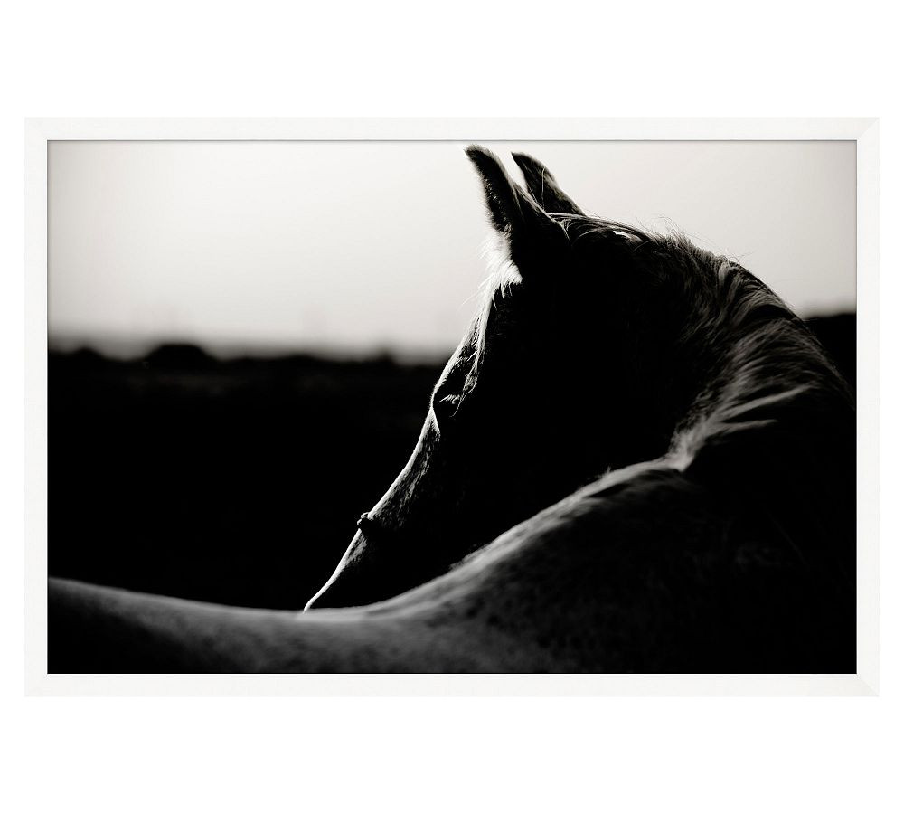 Horse Silhouette Framed Print | Pottery Barn (US)