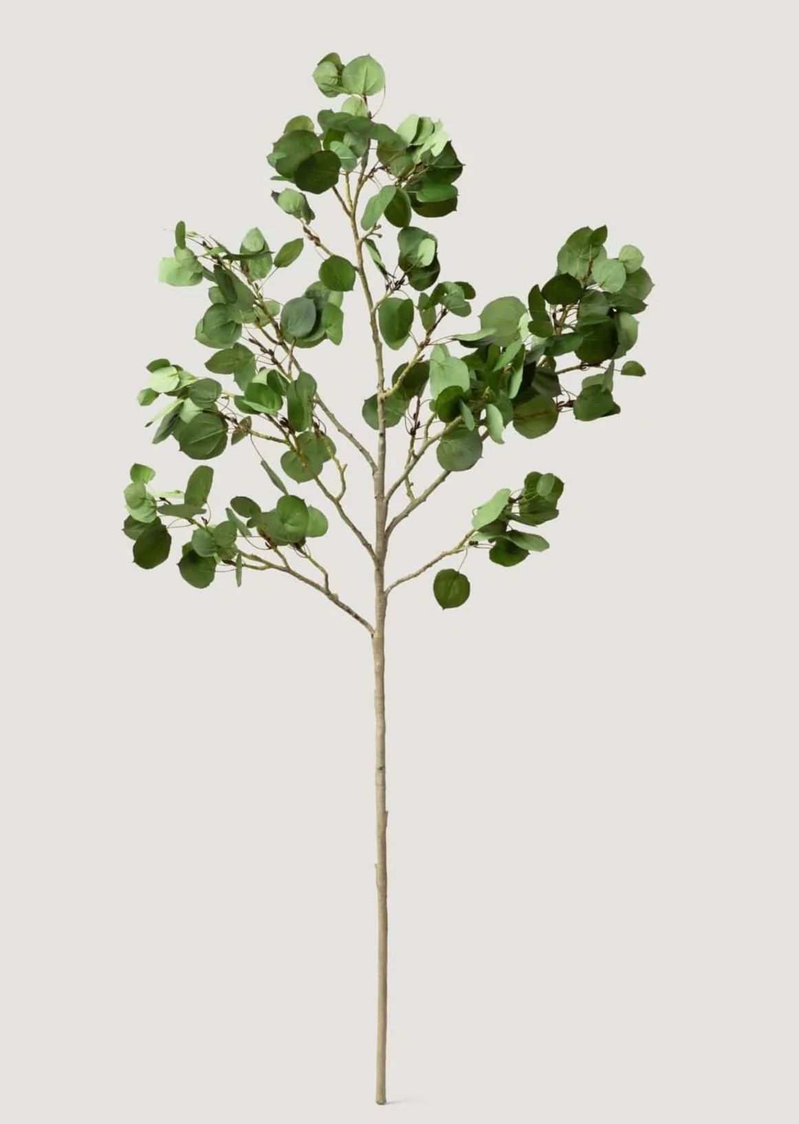 Tall Aspen Leaf Branch | Artificial Leaves & Greenery Stems | Afloral | Afloral