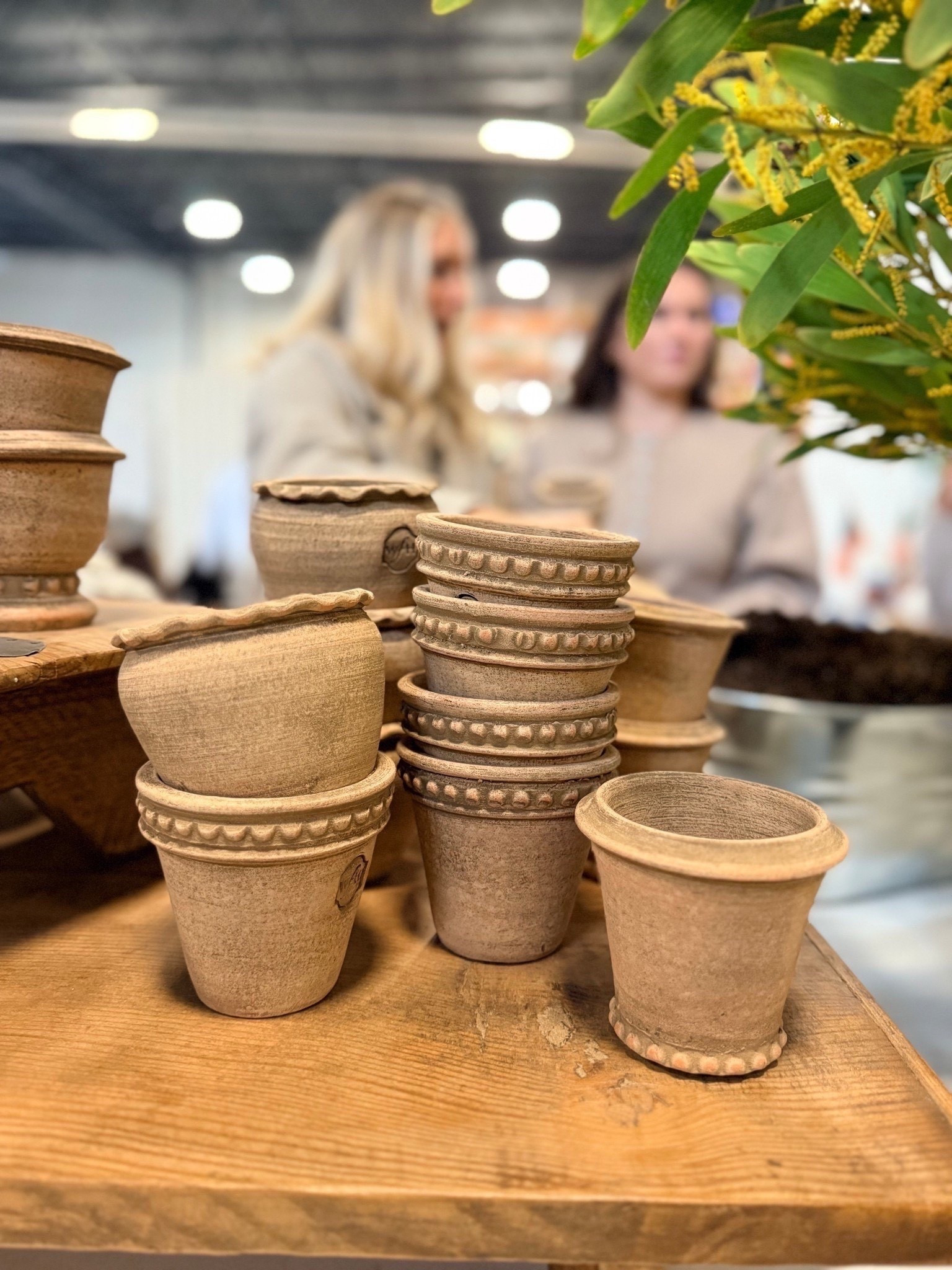 Handmade mini pots from McGee & Co that’s perfect for spring!! 

Home decor, home decor finds, interior styling, interior design inspiration, home styling ideas, neutral home decor, timeless home decor, classic home decor, transitional home decor, traditional home decor, designer inspired home decor, affordable home decor, luxury home decor look for less, curated home decor, collected home decor, budget friendly home decor, high end home decor for less, home decor recommendations, home decor roundup, interior styling, interior styling ideas, interior design inspiration, home styling tips, neutral interior design, modern traditional interiors, transitional interior design, classic interior design, timeless interiors, curated interiors, collected home style, warm neutral interiors

#HomeDecor #InteriorStyling #NeutralInteriors #ModernTraditional #TimelessDesign #HomeInspo #LayeredHome #LivingRoomInspo #InteriorDesignIdeas #DesignInspiration #CozySpaces #InteriorDetails #homestylinginspo #homerefresh #InteriorDetails #homestylinginspo
#wayfair #loloirugs #newrug 

#LTKSpringSale 

#liketkit 
@shop.ltk
https://liketk.it/5Y1bv 

#liketkit #LTKHome #LTKSeasonal #LTKSaleAlert #LTKHome #LTKSeasonal
@shop.ltk
https://liketk.it/614ne

#LTKSeasonal #LTKHome #LTKdayinmylife