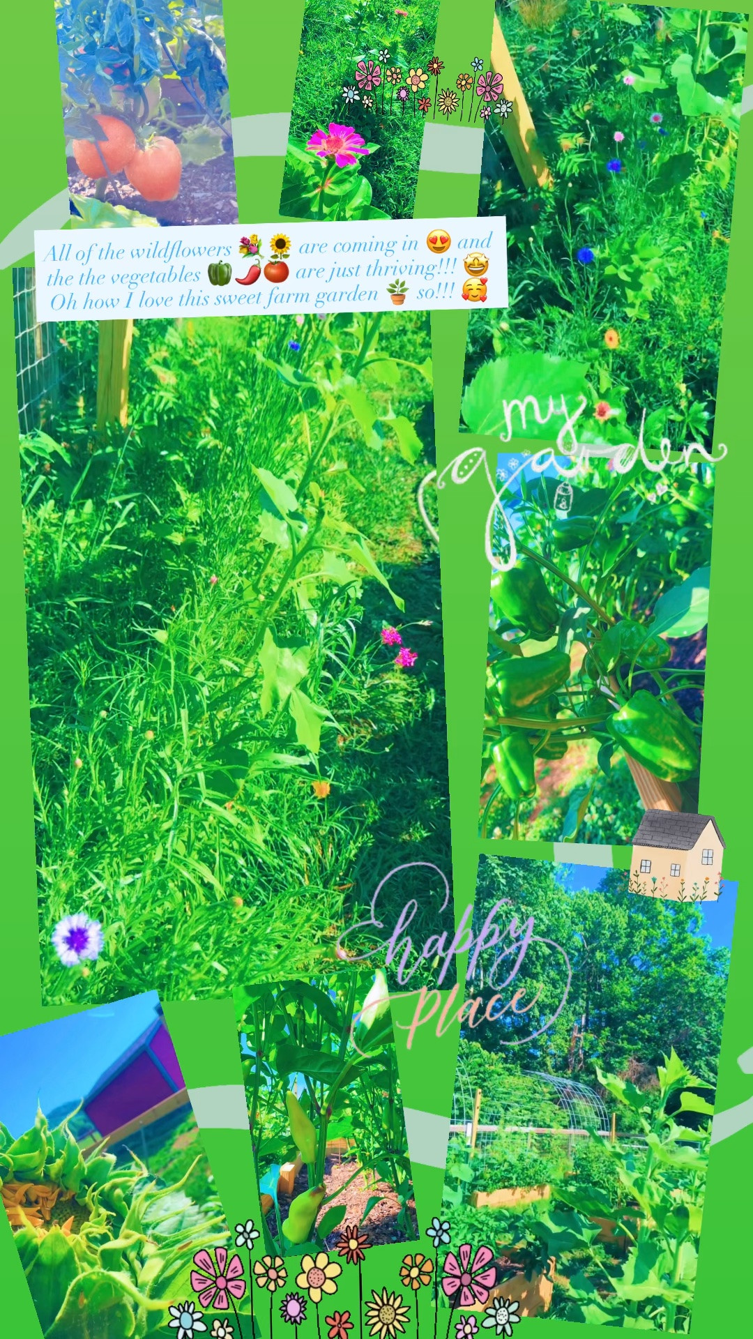 All of the wildflowers 💐🌻 are coming in 😍 and the the vegetables 🫑🌶️🍅 are just thriving!!! 🤩 Oh how I love this sweet farm garden 🪴 so!!! 🥰