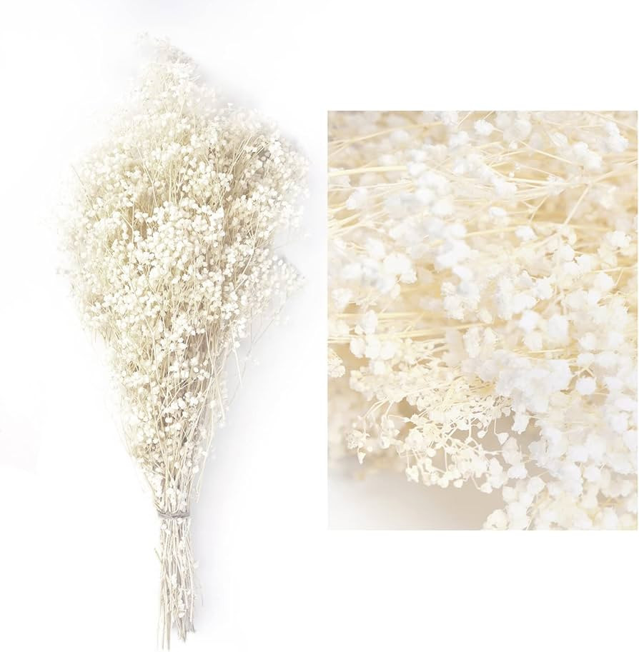 Baby’s Breath Dried Flowers Bundles Gypsophila Real White Natural Flower 17” 3oz for Wedding ... | Amazon (US)