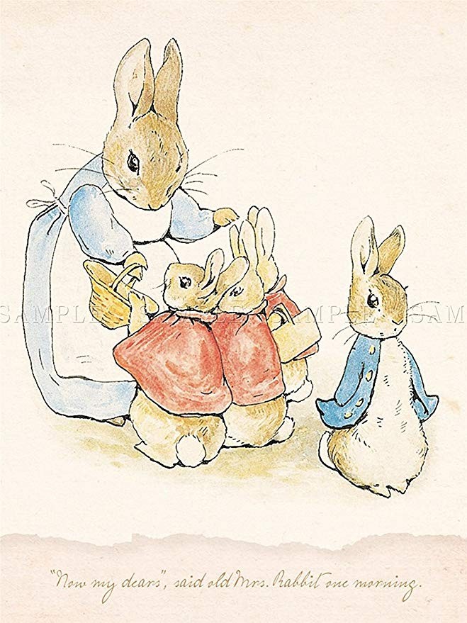 Doppelganger33 Ltd Helen Beatrix Potter Now My Dears Peter Rabbit Canvas Art Print | Amazon (US)