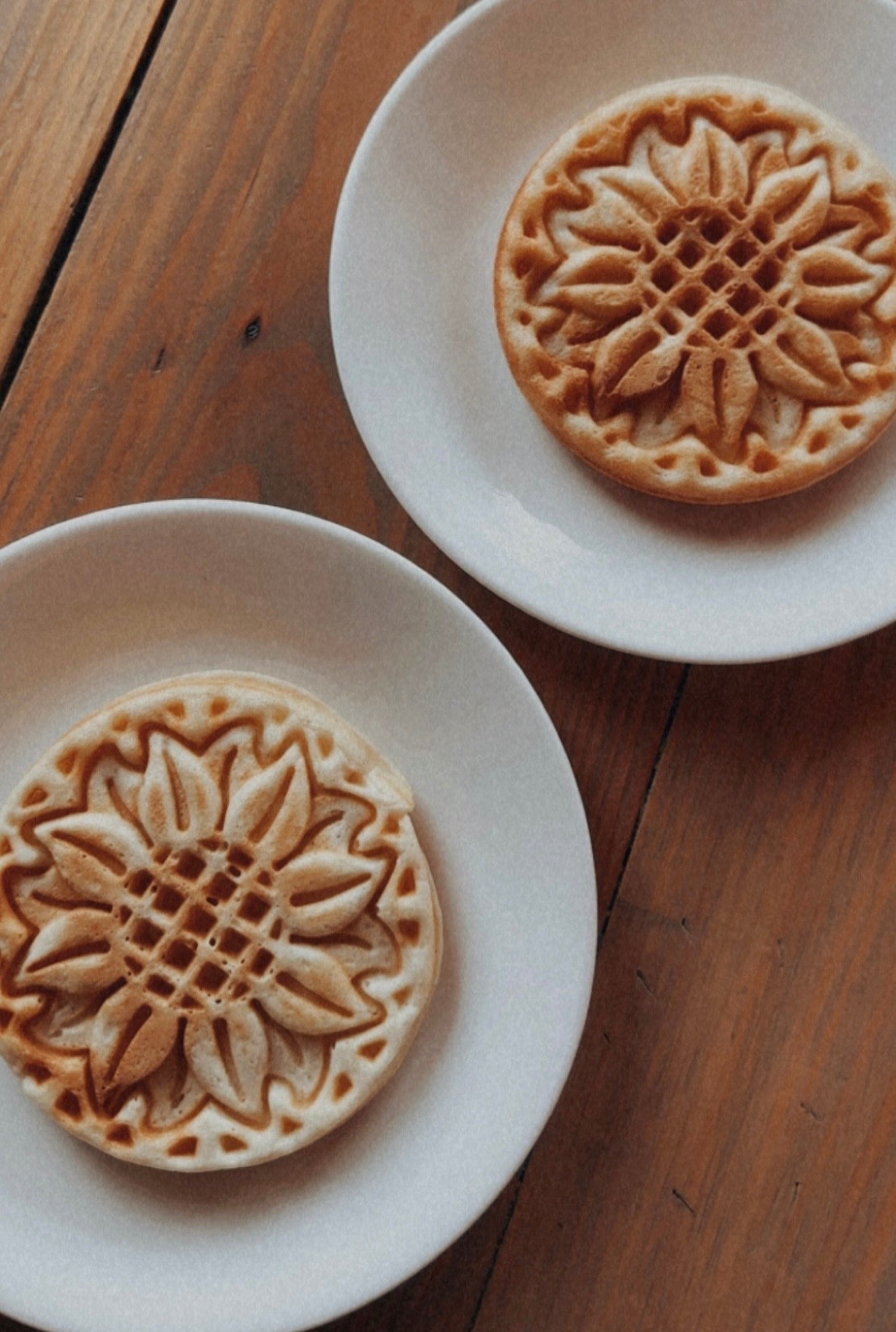 DASH mini waffle maker 🌻
#dash #miniwaffles #miniwafflemaker #dashwafflemaker #sunflowers #sunflowerwaffles #breakfast #amazon #like #comment #save #share #follow 

#LTKFamily #LTKKids #LTKHome