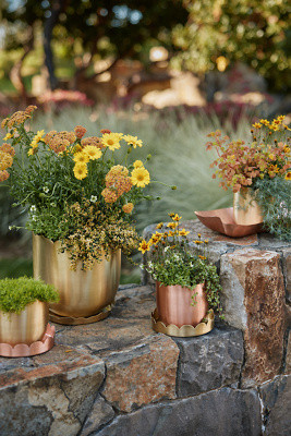 Scallop Edge Polished Brass Planter | Anthropologie (US)