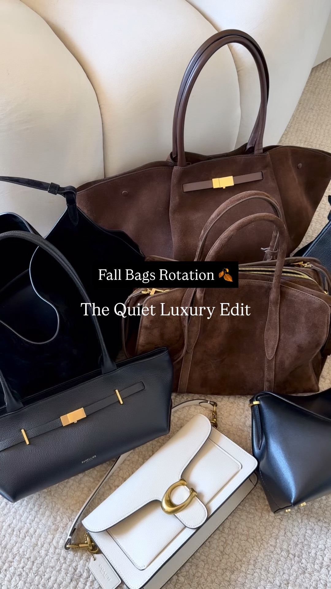 The quiet luxury handbags i’ll wear on repeat this season 🍂
.
Autumn bag, fall bags, brown suede bag, Demellier bag tote, toteme t-lock bag, Coach bag, Parisa Wang bag -use code TAE12 for 12% off on parisa Wang website.
.

#LTKOver40 #LTKU #LTKSeasonal