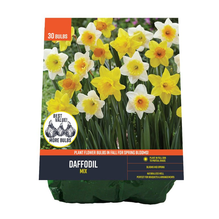 Van Zyverden Daffodil Mix (Set of 30 Dormant Bulbs) Partial Sun, Multicolor, Perennial | Walmart (US)