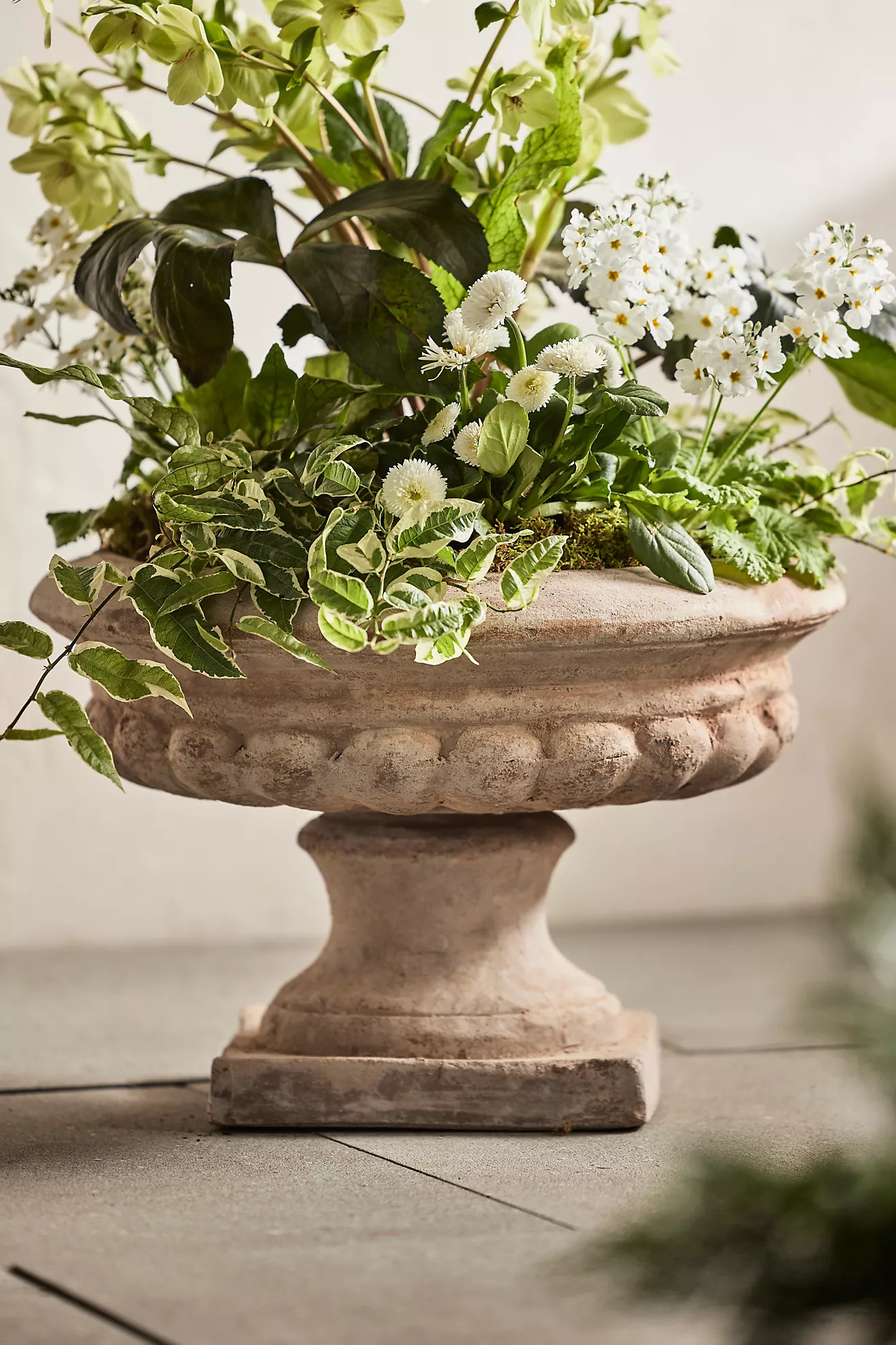 Classical Terracotta Urn Planter | Anthropologie (US)