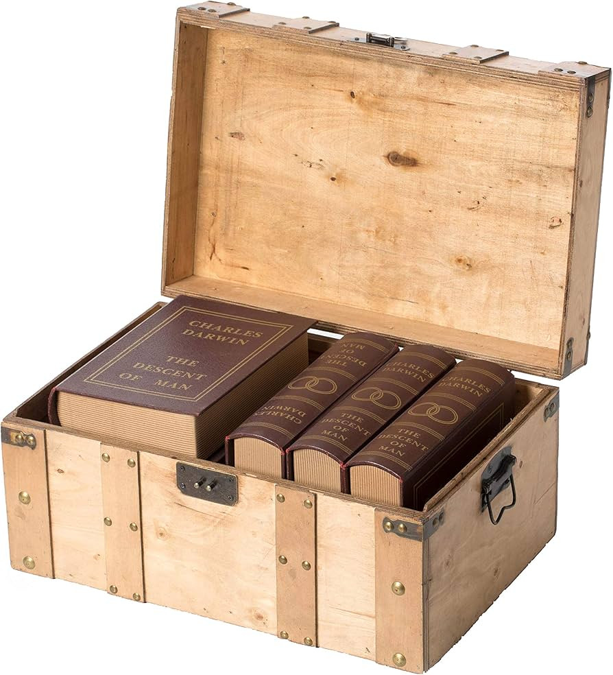 Vintiquewise Natural Wooden Style Trunk with Handles, Small | Amazon (US)