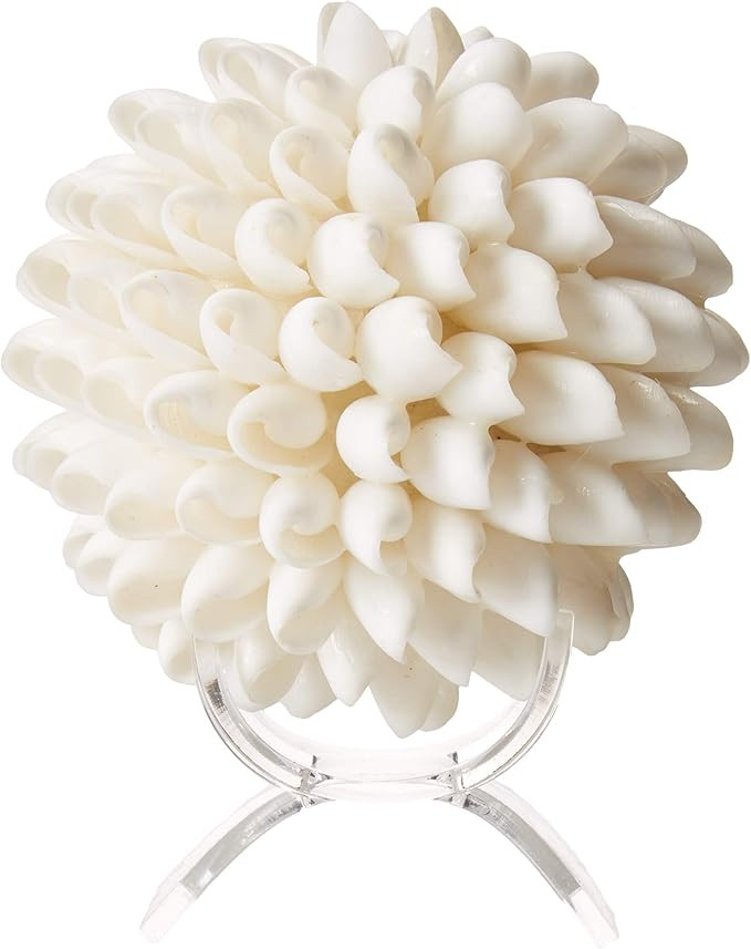 Tumbler Home Real White Seashell Sphere with Lucite Stand | 4 Inches Wide | Beach House Shelf Dec... | Amazon (US)
