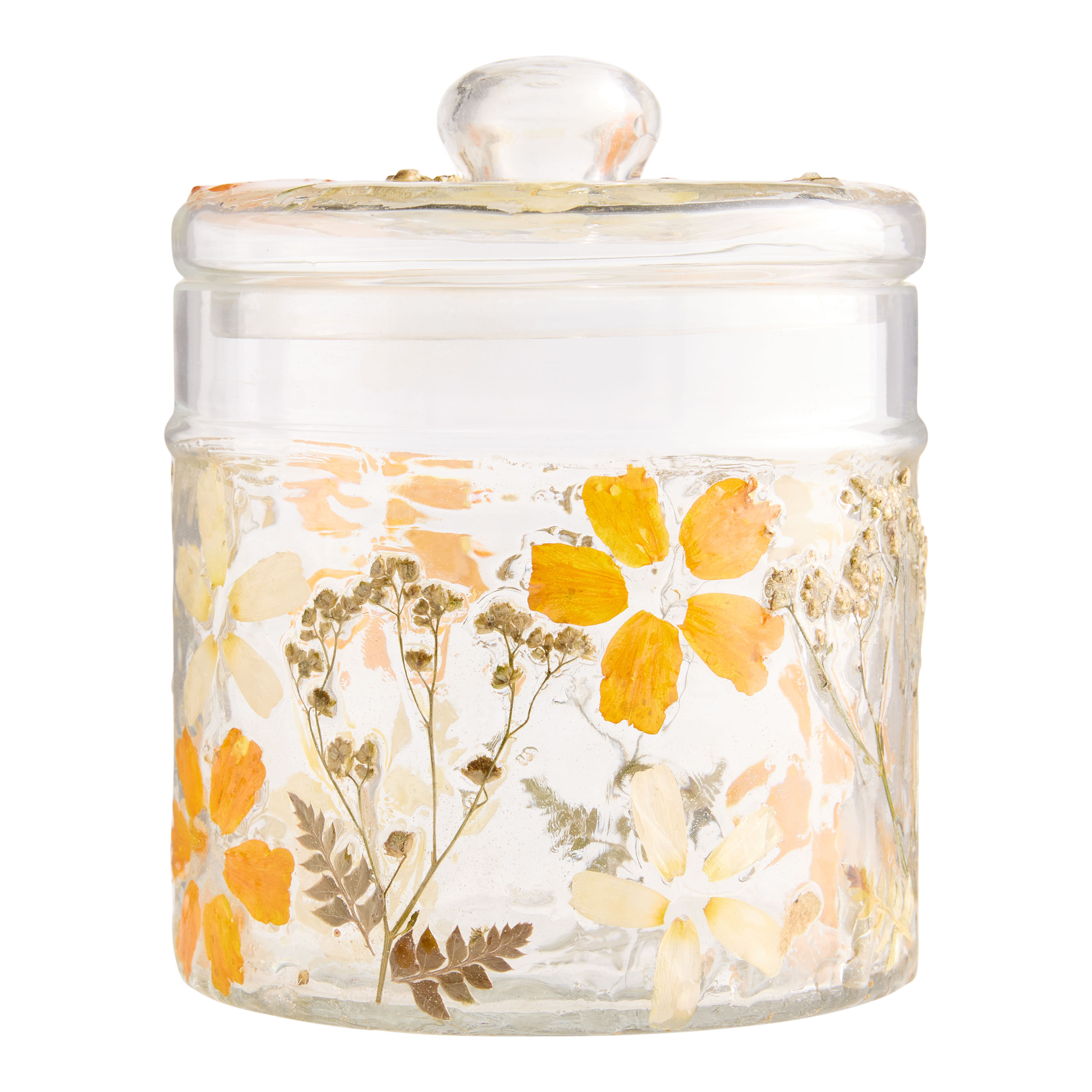 Glass Pressed Flower Canister with Lid - World Market | World Market